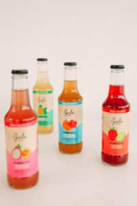 CX 36 UNDS KOMBUCHA MISTA - 280 ML - Imagem 2