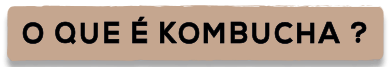 BOTAO KOMBUCHA.png