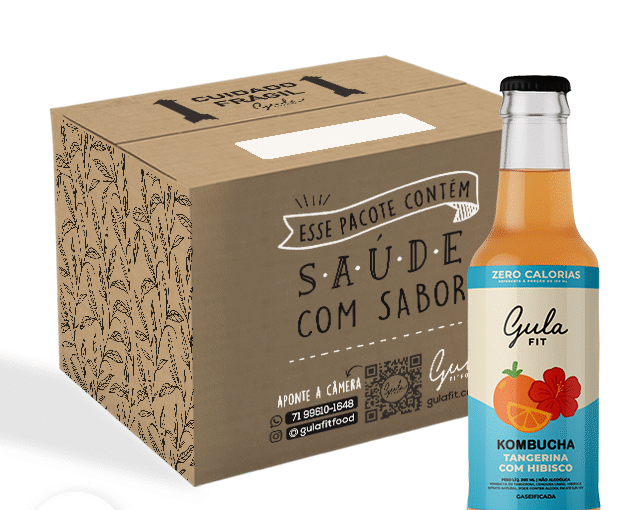 COMBO 24 KOMBUCHAS TANGERINA E HIBISCO - 280ML