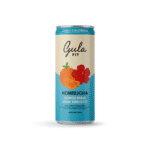 LATA KOMBUCHA TANGERINA COM HIBISCO - 269 ML