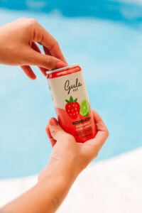 COMBO 24 LATAS KOMBUCHAS MORANGO COM LIMÃO - 269ML - Imagem 5