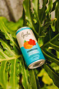 LATA KOMBUCHA TANGERINA COM HIBISCO - 269 ML - Imagem 3