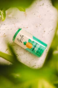 LATA KOMBUCHA ABACAXI COM HORTELÃ - 269 ML - Imagem 7