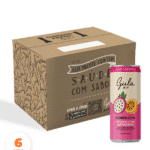 COMBO 06 LATAS KOMBUCHAS PITAYA COM MARACUJÁ - 269ML