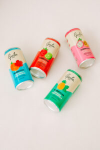 COMBO 06 LATAS KOMBUCHAS MISTA – 269ML - Imagem 2