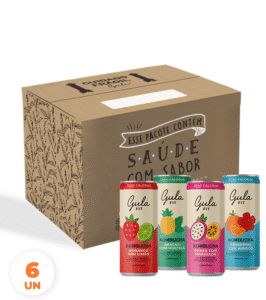 COMBO 06 LATAS KOMBUCHAS MISTA – 269ML